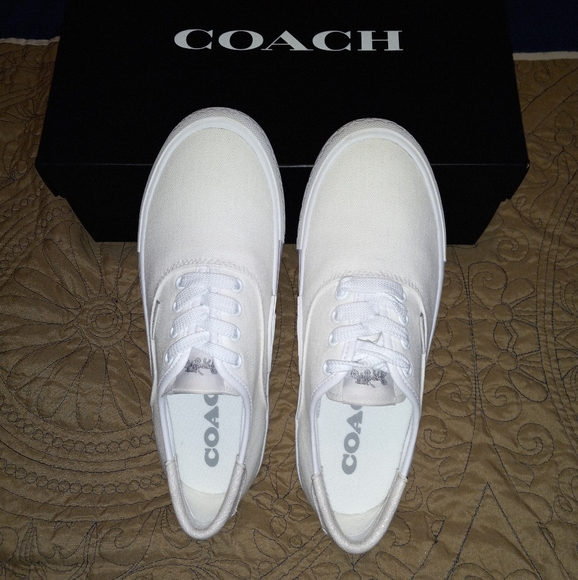 Coach CitySole Skate Sneakers - Picture 8 of 14